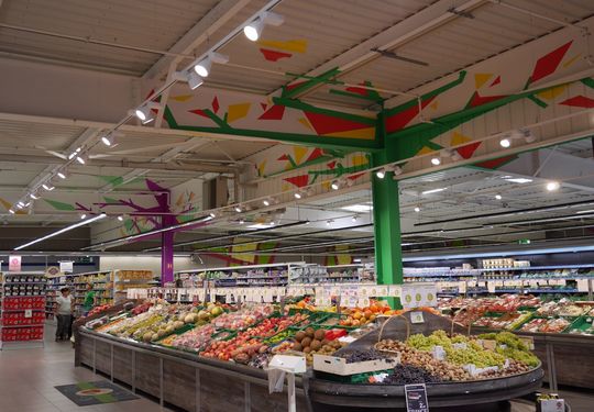 Image 6 du projet Arbres Stylises - Scénographie Intérieure