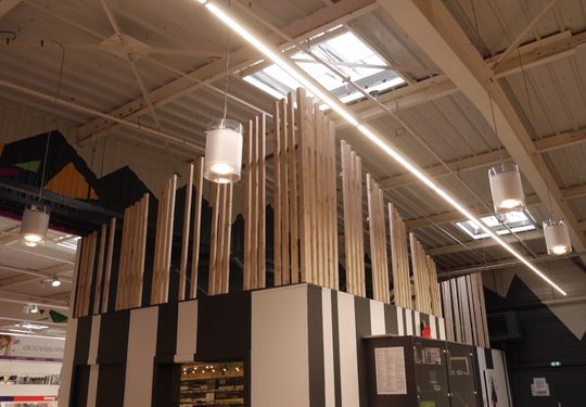 Image 14 du projet Arbres Stylises - Scénographie Intérieure